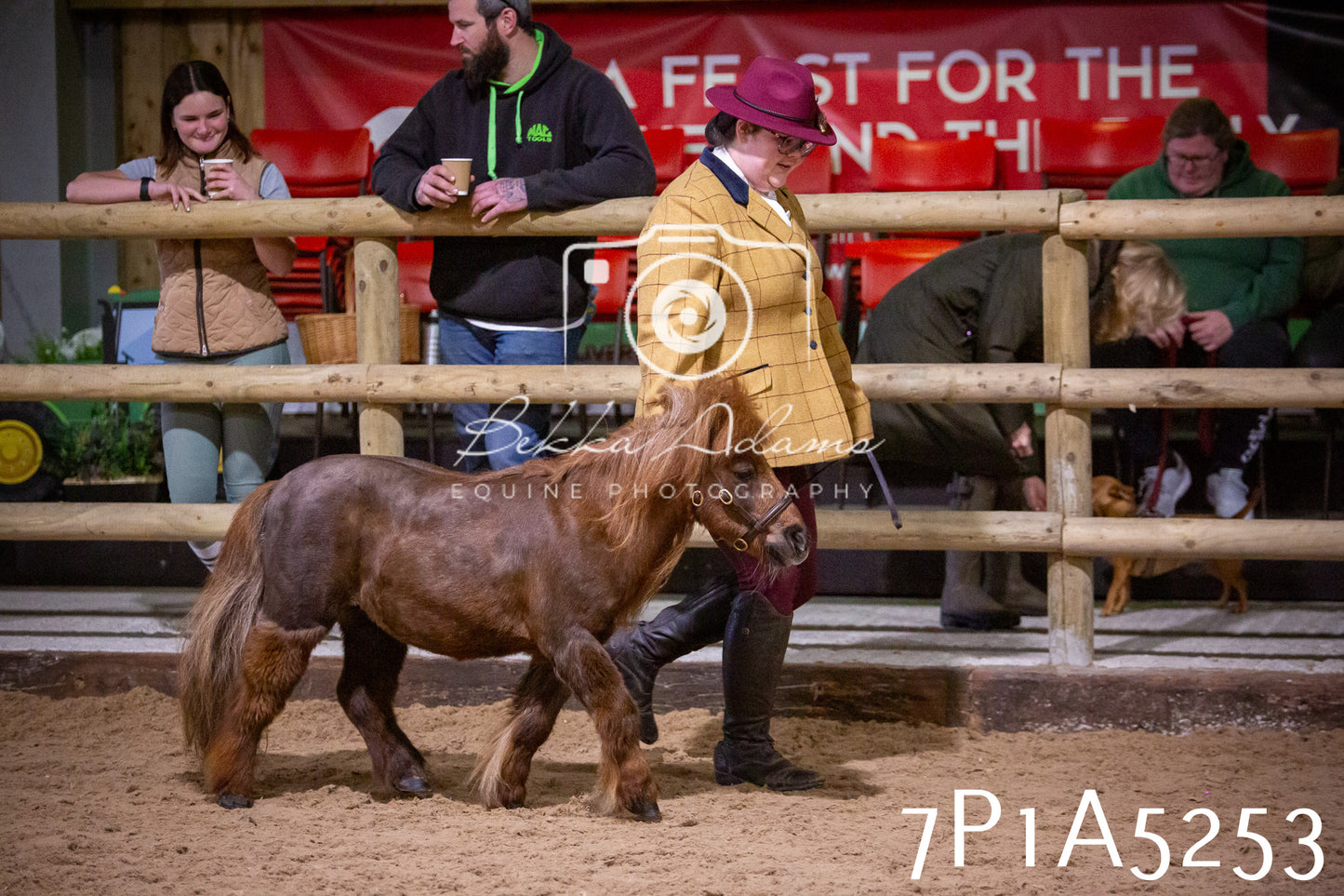 Home Farm Spring Show 2026 - In Hand