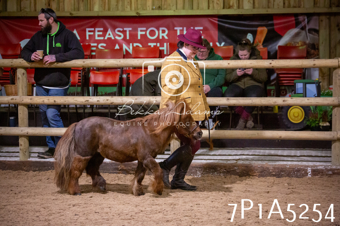 Home Farm Spring Show 2026 - In Hand