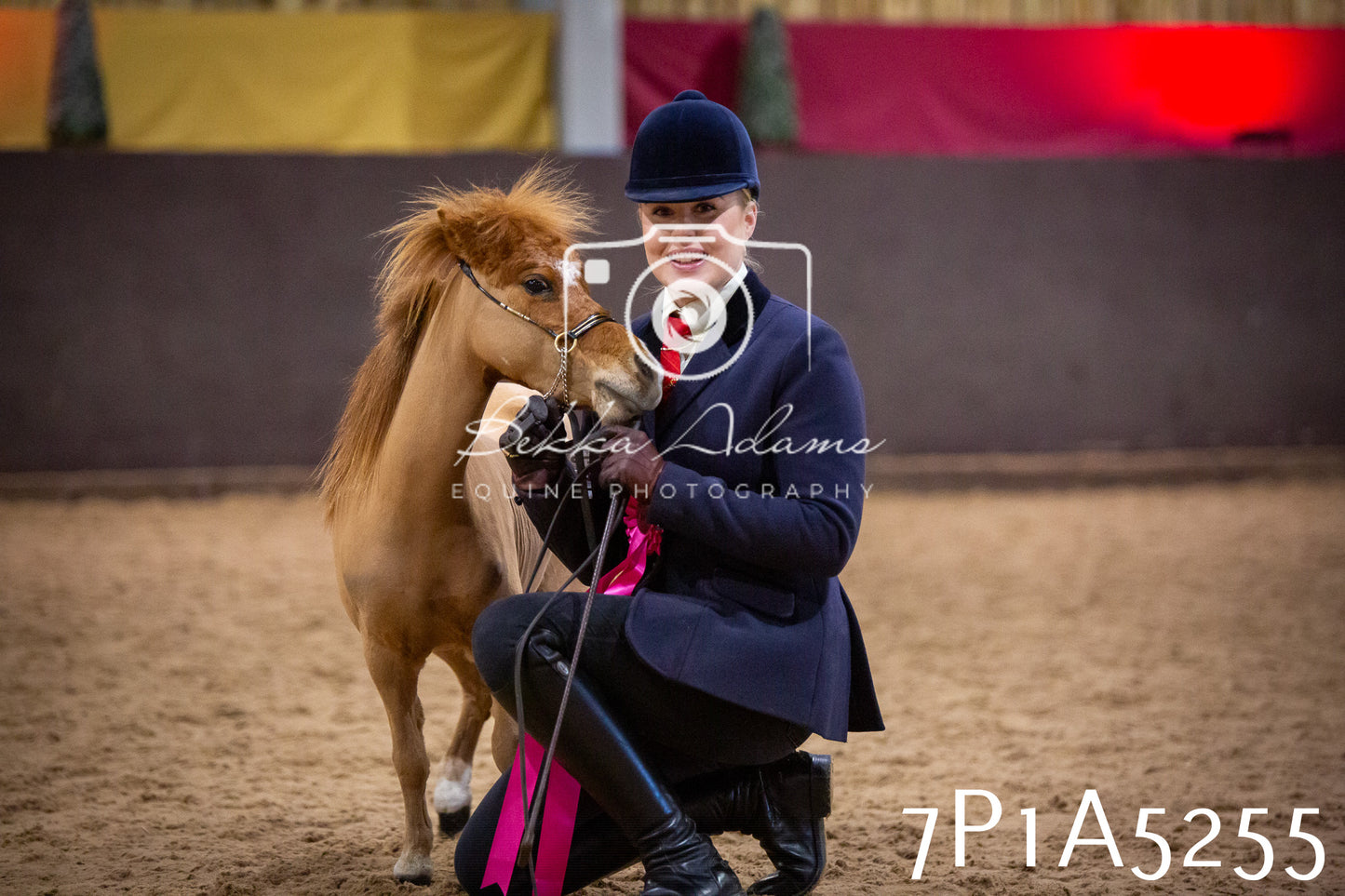 Home Farm Spring Show 2026 - In Hand