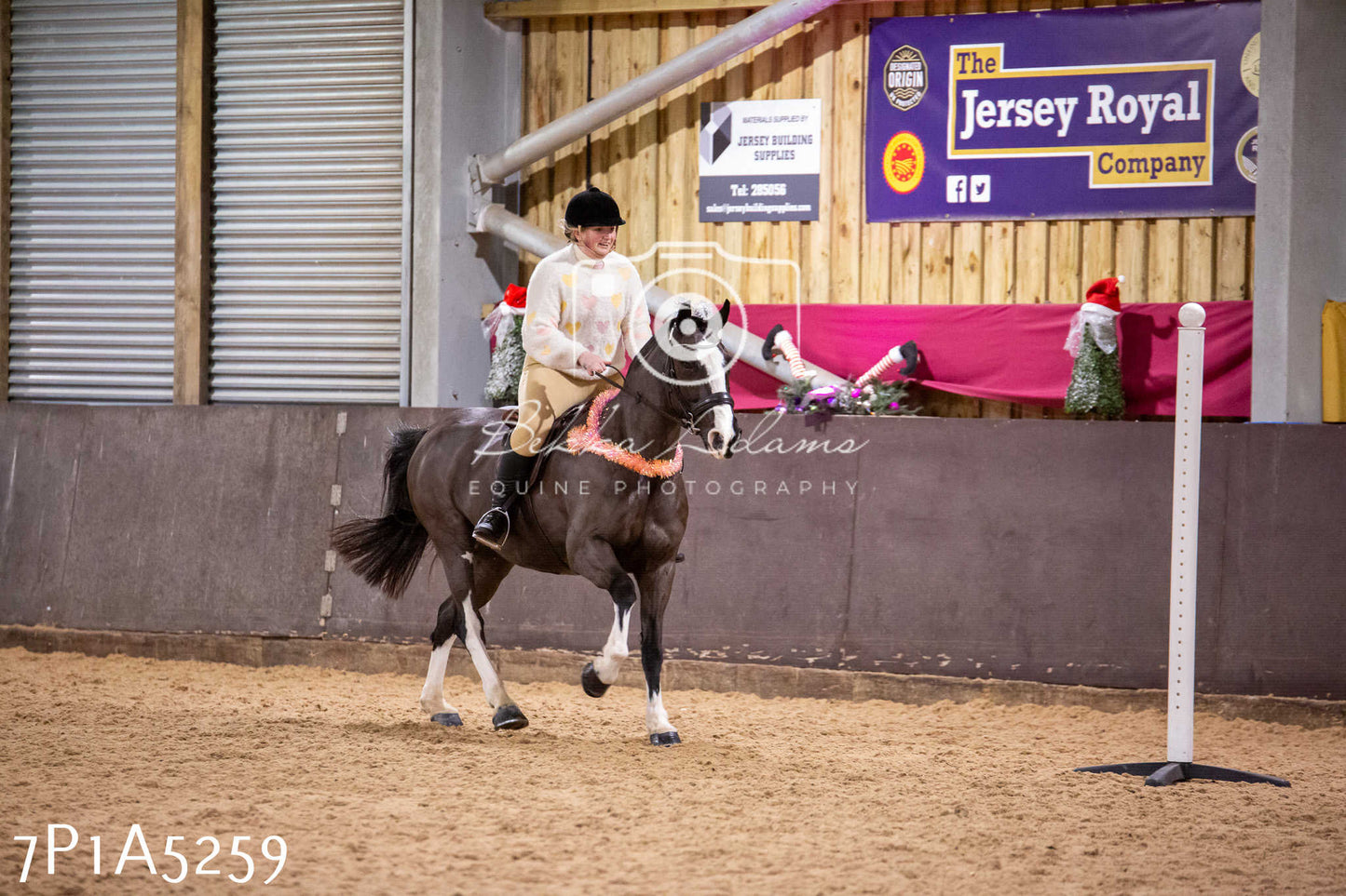 Home Farm Christmas Show 2024 - Ridden (Fun Classes)