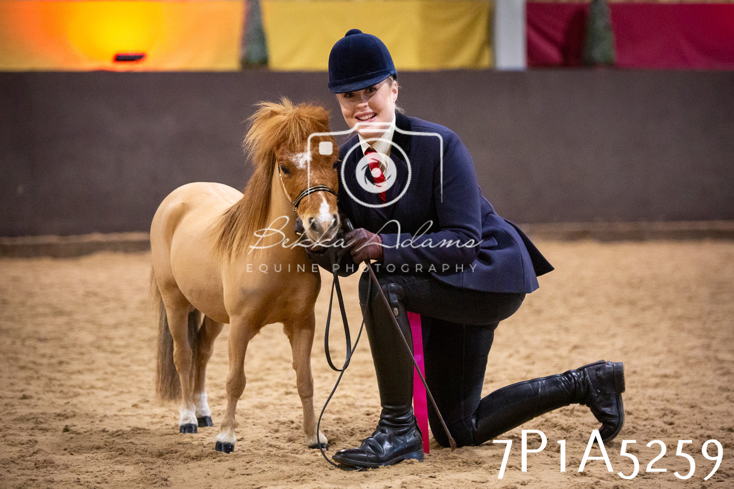 Home Farm Spring Show 2026 - In Hand
