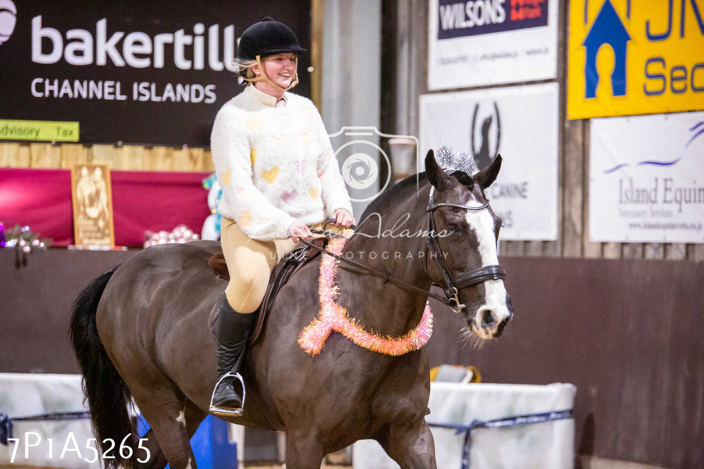 Home Farm Christmas Show 2024 - Ridden (Fun Classes)