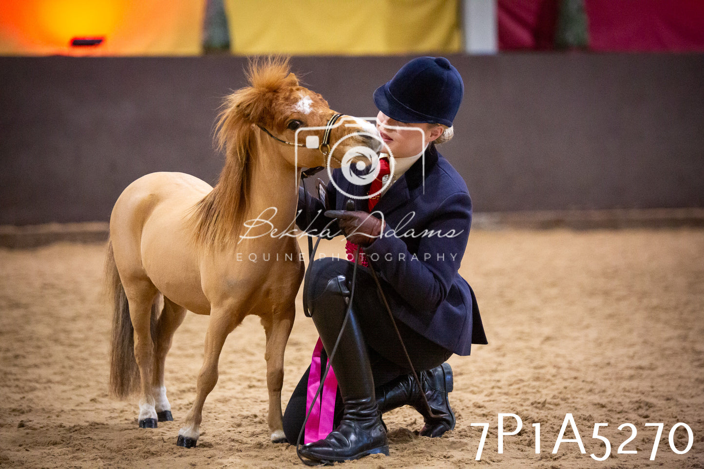 Home Farm Spring Show 2026 - In Hand