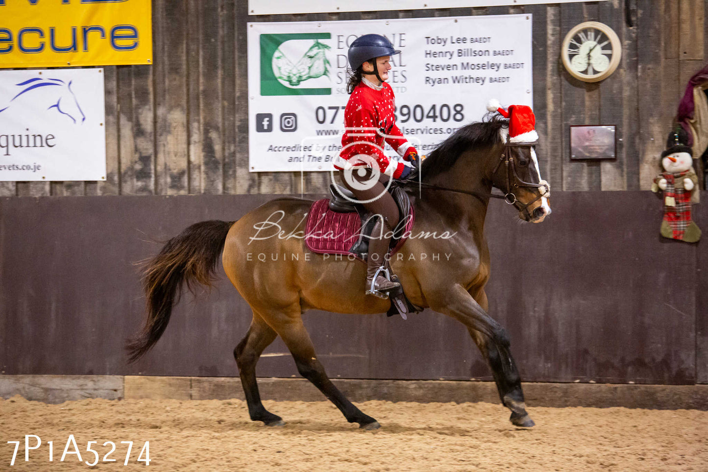 Home Farm Christmas Show 2024 - Ridden (Fun Classes)