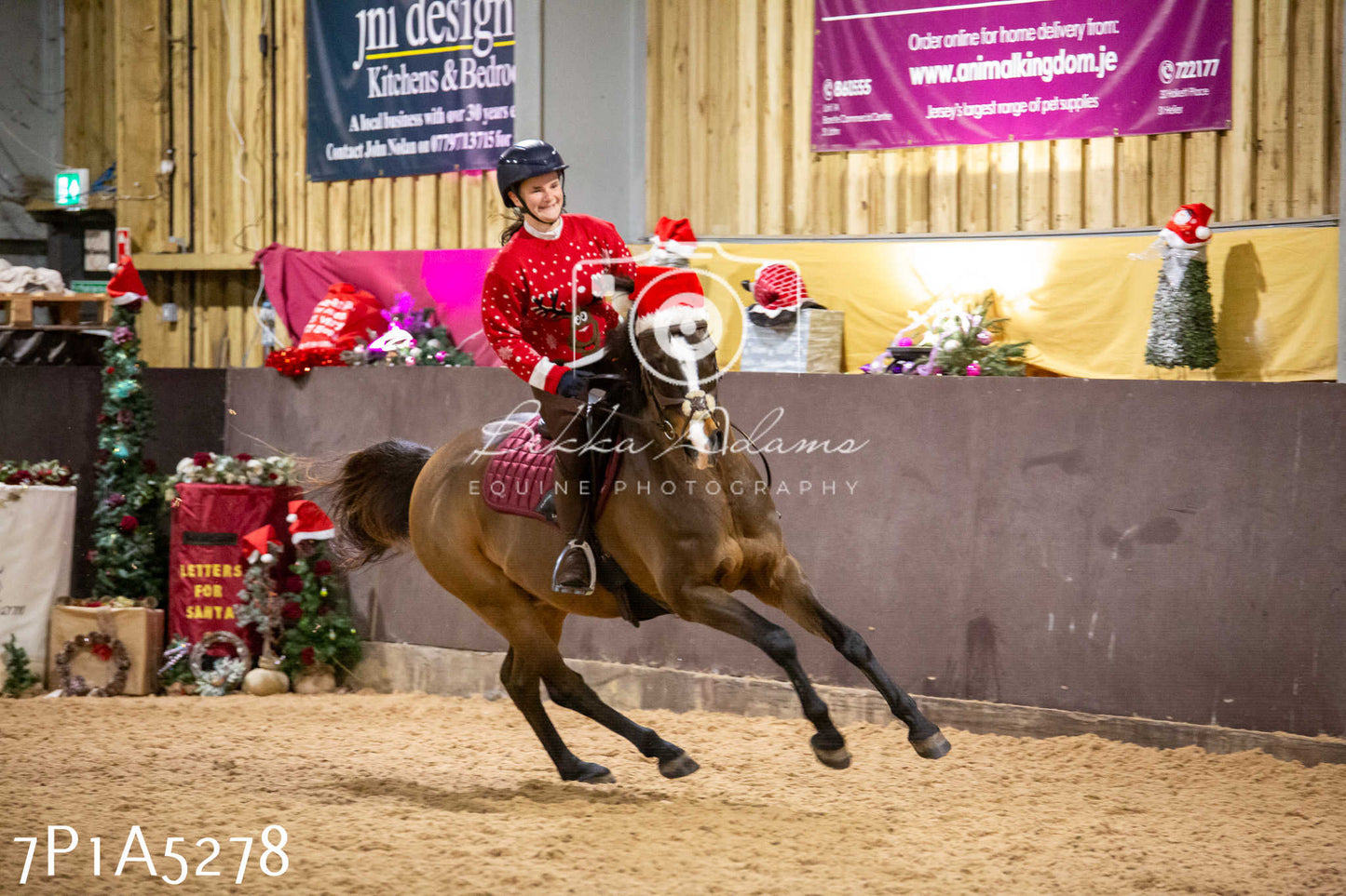 Home Farm Christmas Show 2024 - Ridden (Fun Classes)