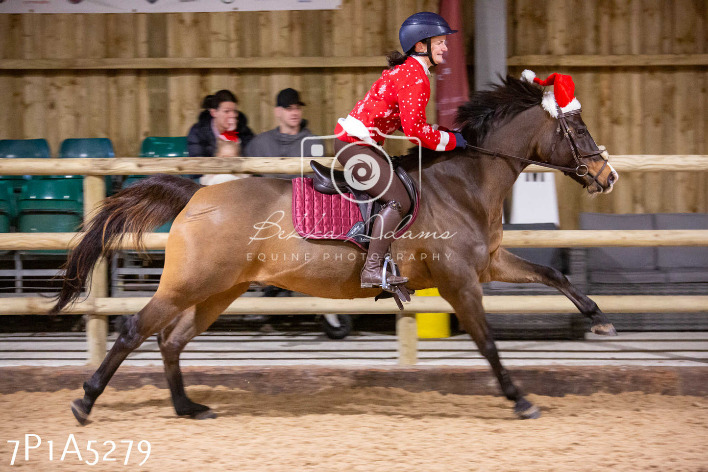 Home Farm Christmas Show 2024 - Ridden (Fun Classes)