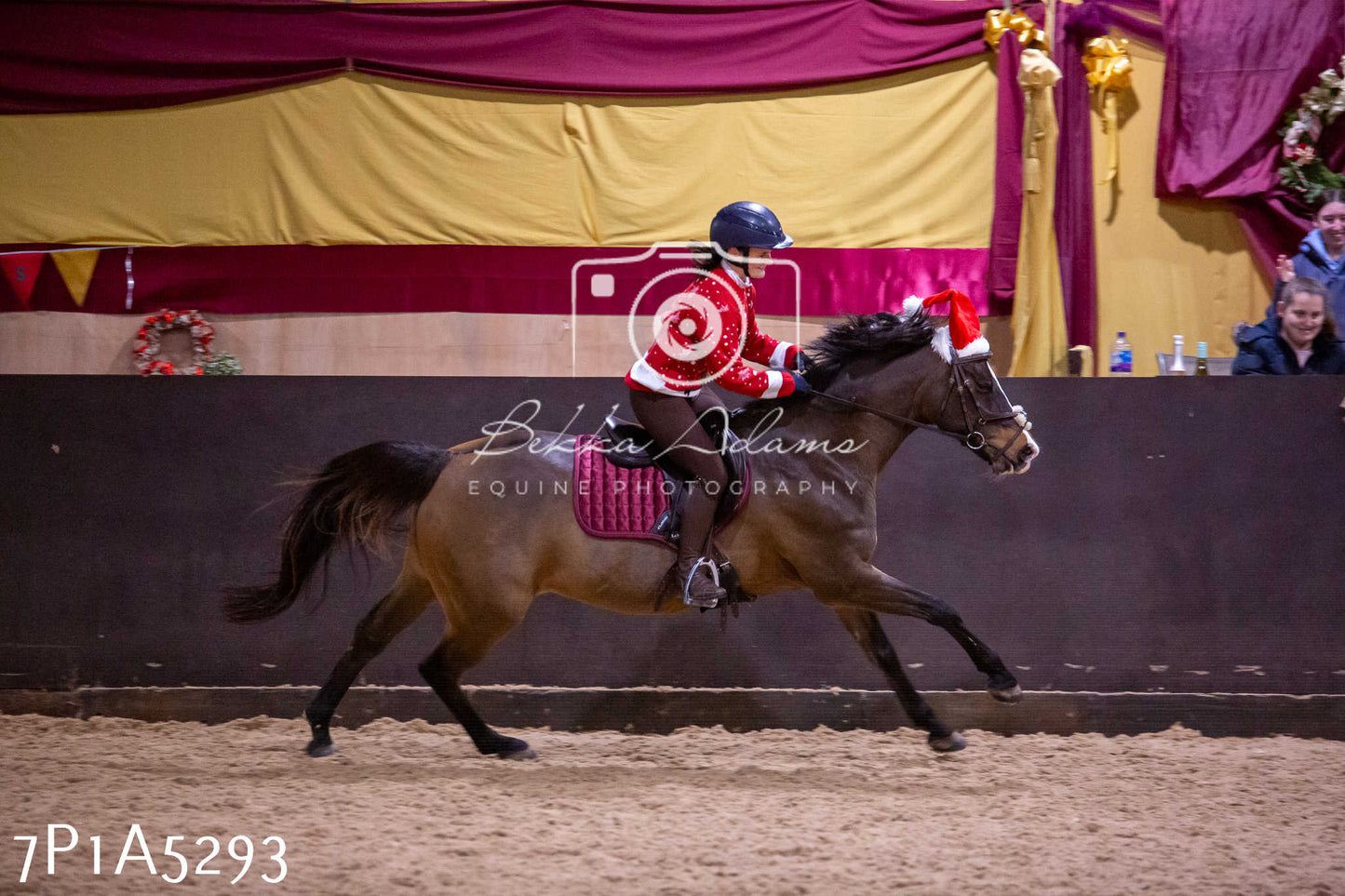 Home Farm Christmas Show 2024 - Ridden (Fun Classes)