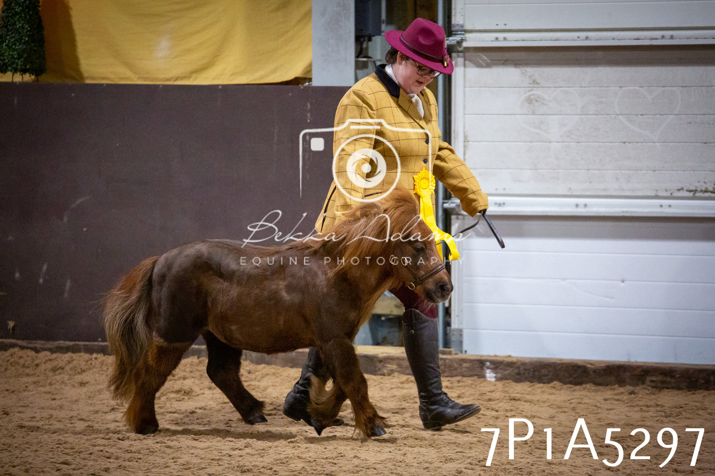 Home Farm Spring Show 2026 - In Hand