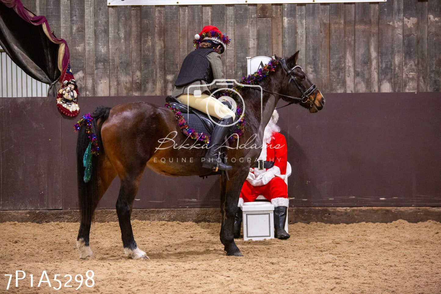 Home Farm Christmas Show 2024 - Ridden (Fun Classes)