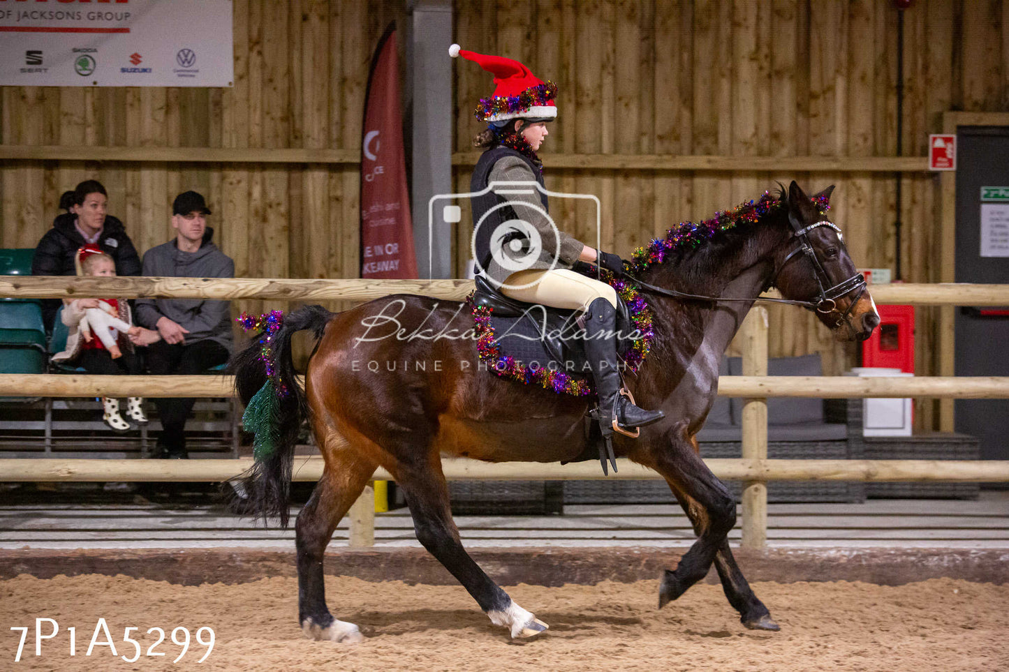 Home Farm Christmas Show 2024 - Ridden (Fun Classes)