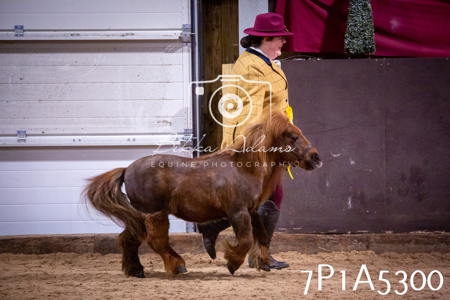 Home Farm Spring Show 2026 - In Hand