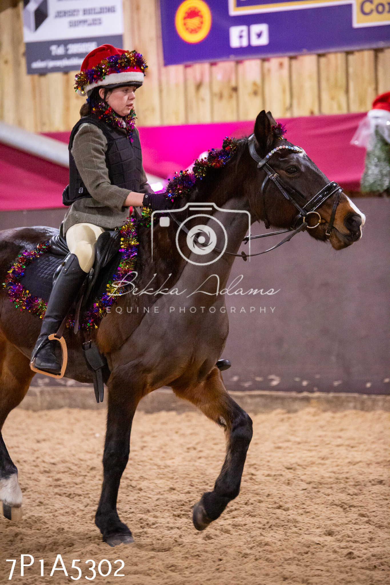 Home Farm Christmas Show 2024 - Ridden (Fun Classes)