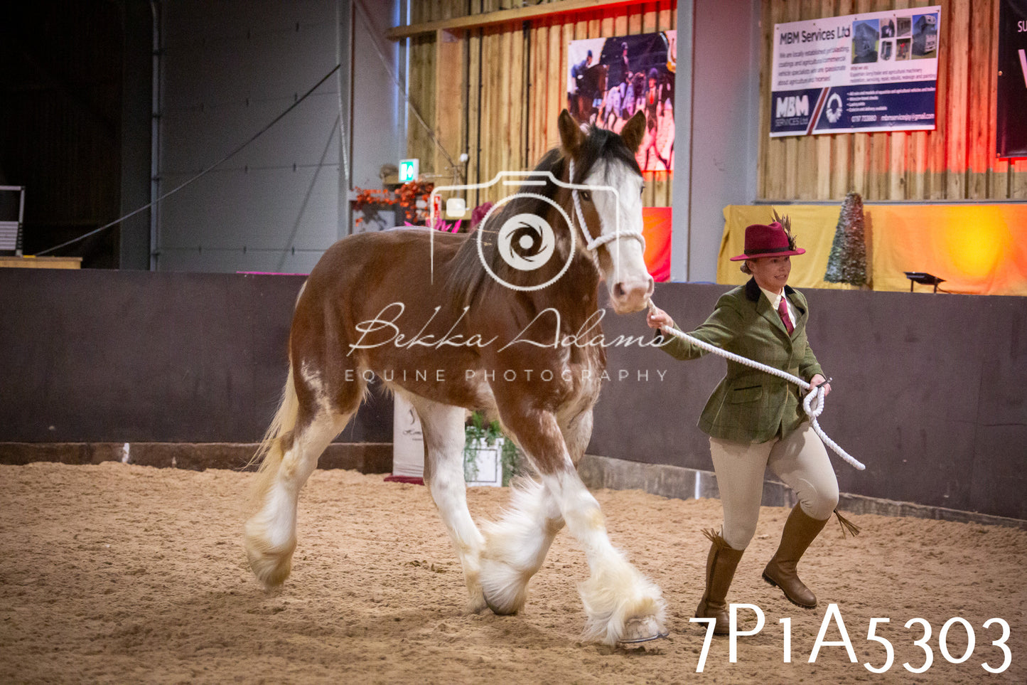 Home Farm Spring Show 2026 - In Hand