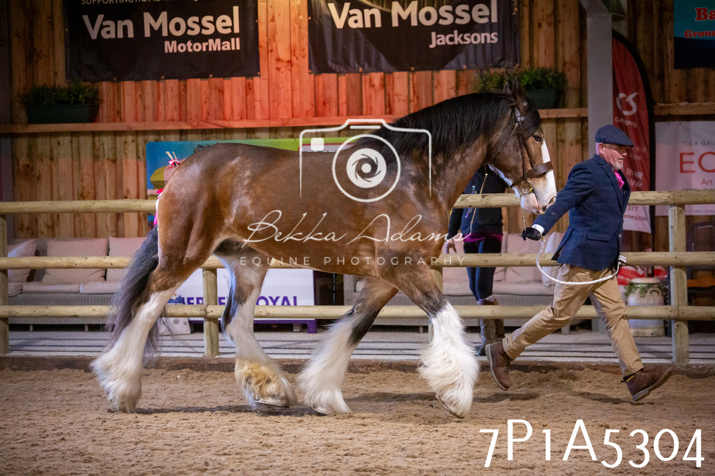 Home Farm Spring Show 2026 - In Hand