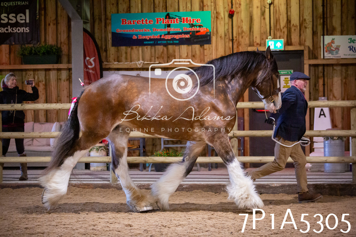 Home Farm Spring Show 2026 - In Hand