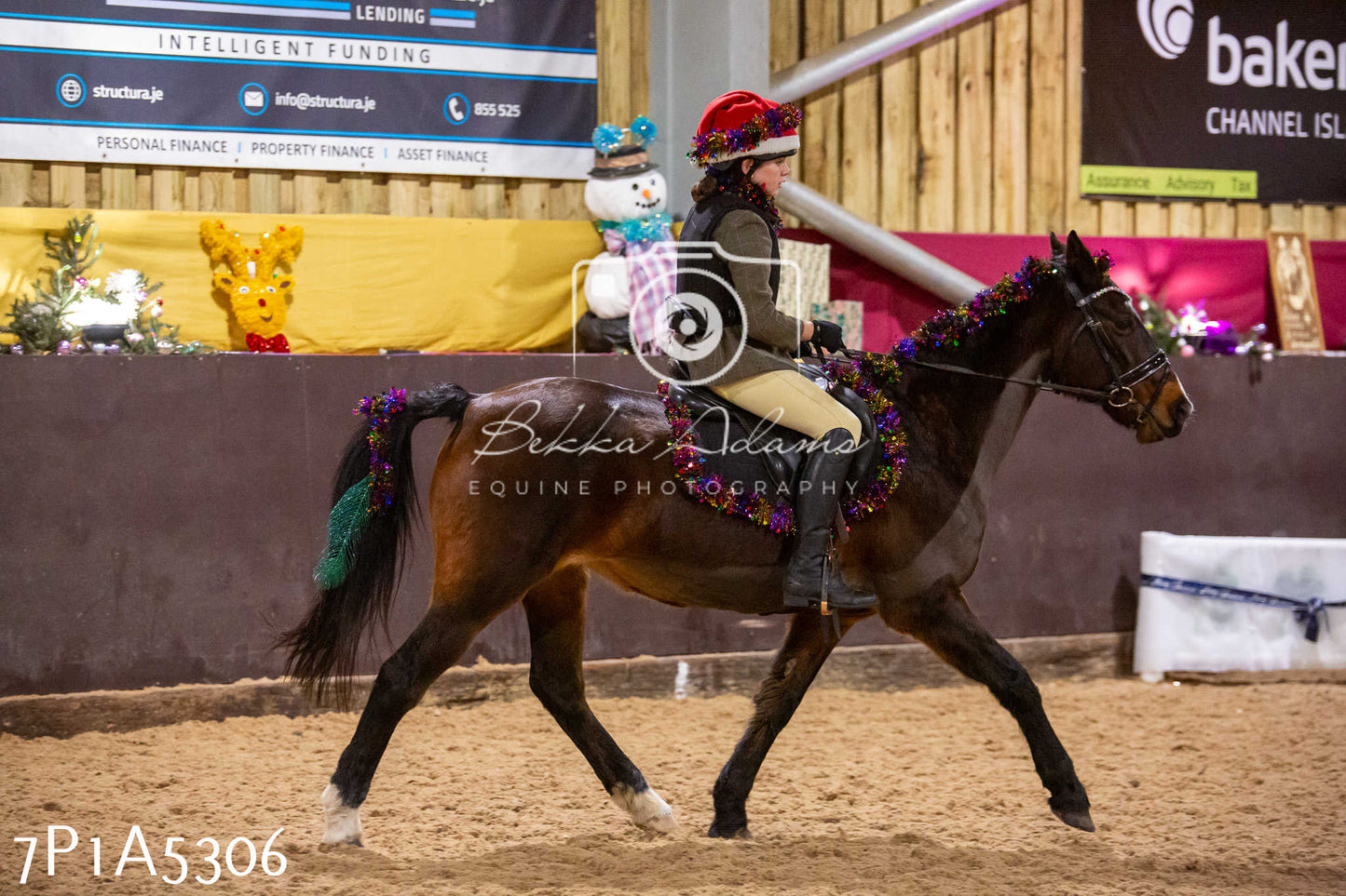 Home Farm Christmas Show 2024 - Ridden (Fun Classes)