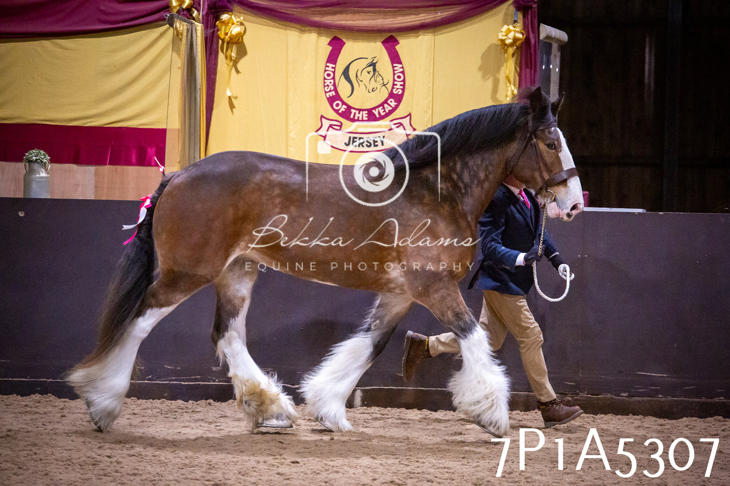 Home Farm Spring Show 2026 - In Hand