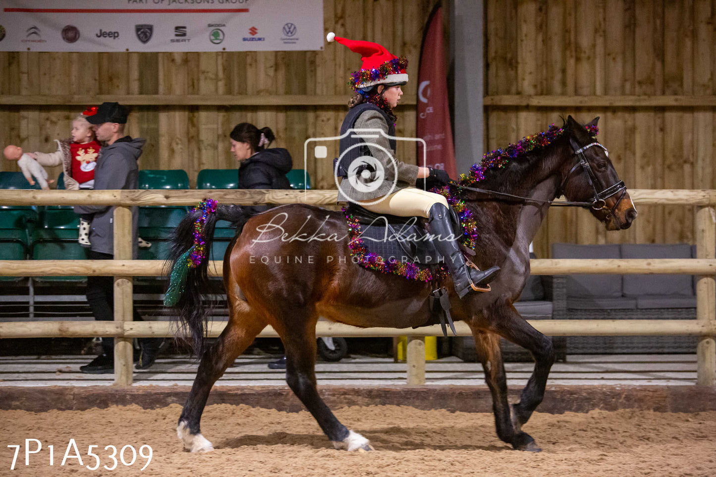 Home Farm Christmas Show 2024 - Ridden (Fun Classes)