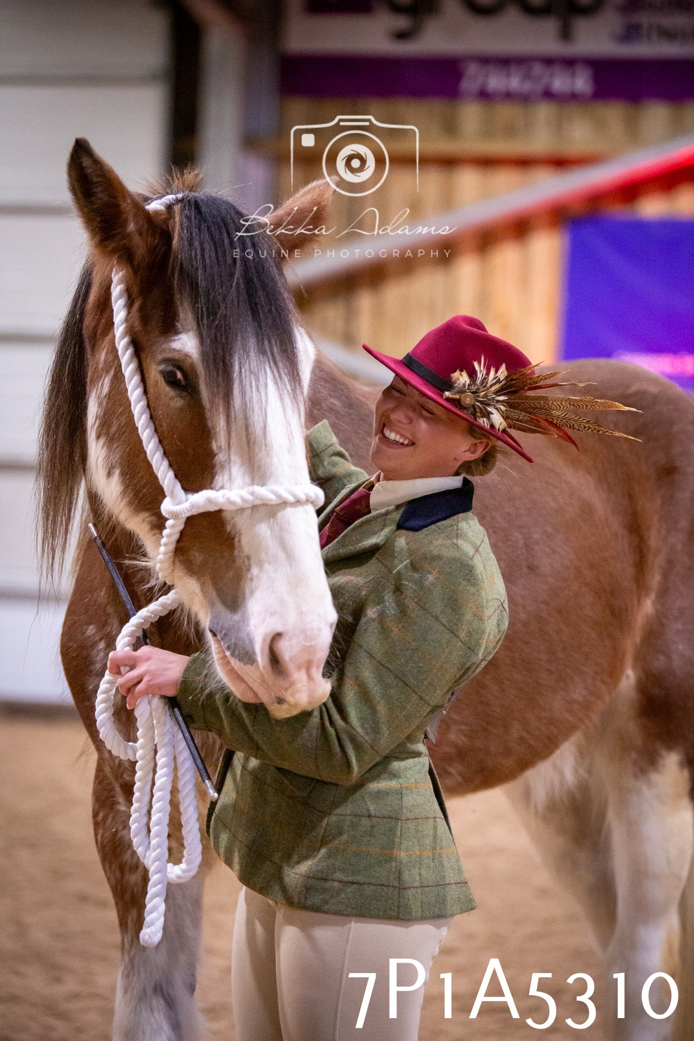 Home Farm Spring Show 2026 - In Hand