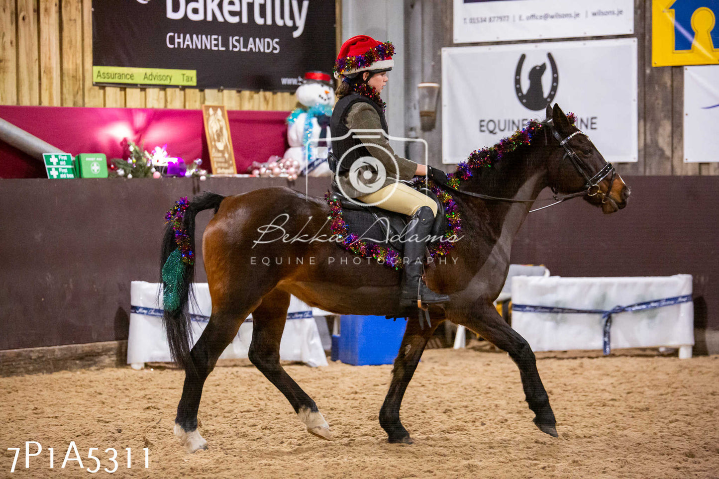 Home Farm Christmas Show 2024 - Ridden (Fun Classes)