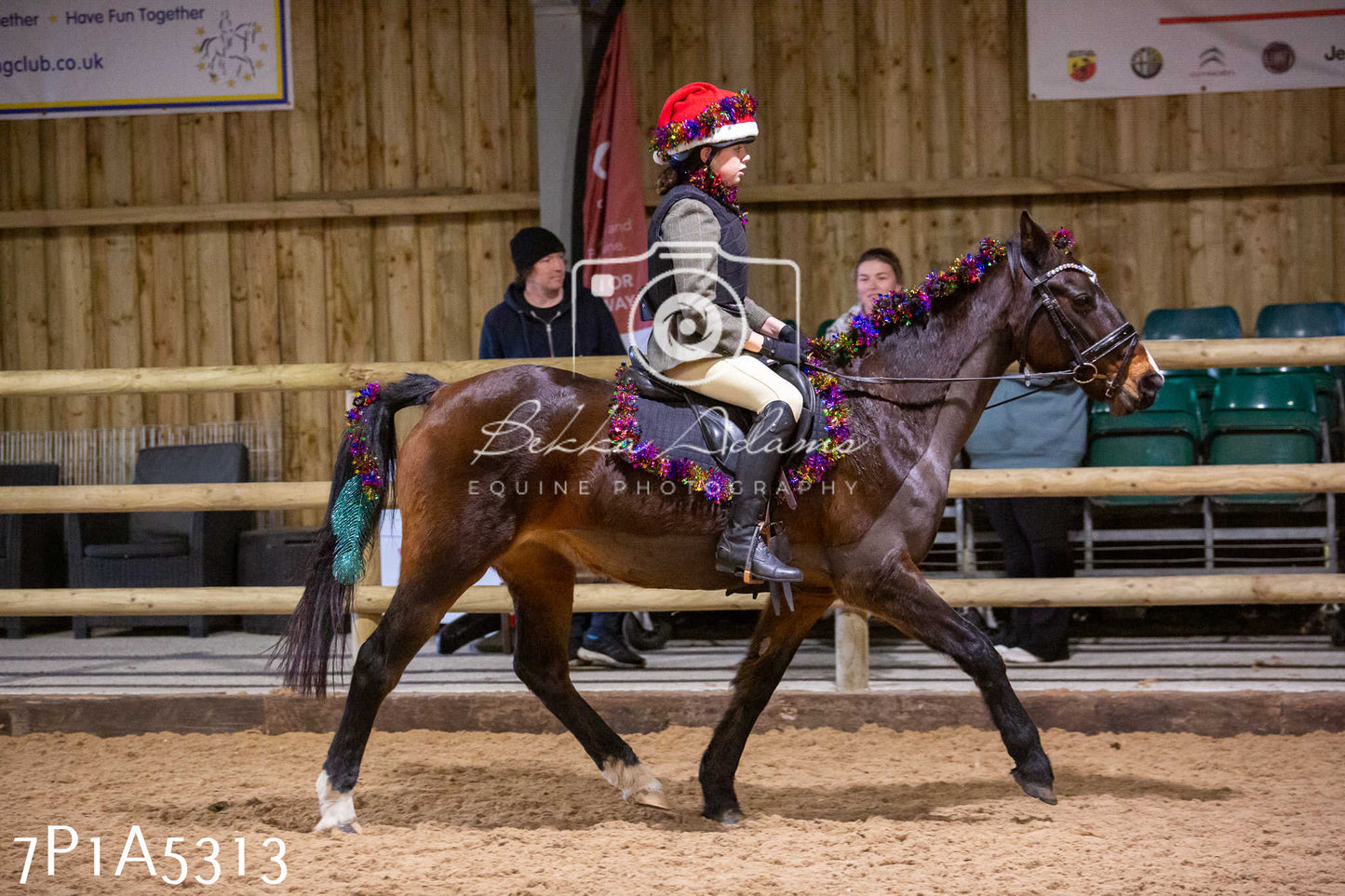 Home Farm Christmas Show 2024 - Ridden (Fun Classes)