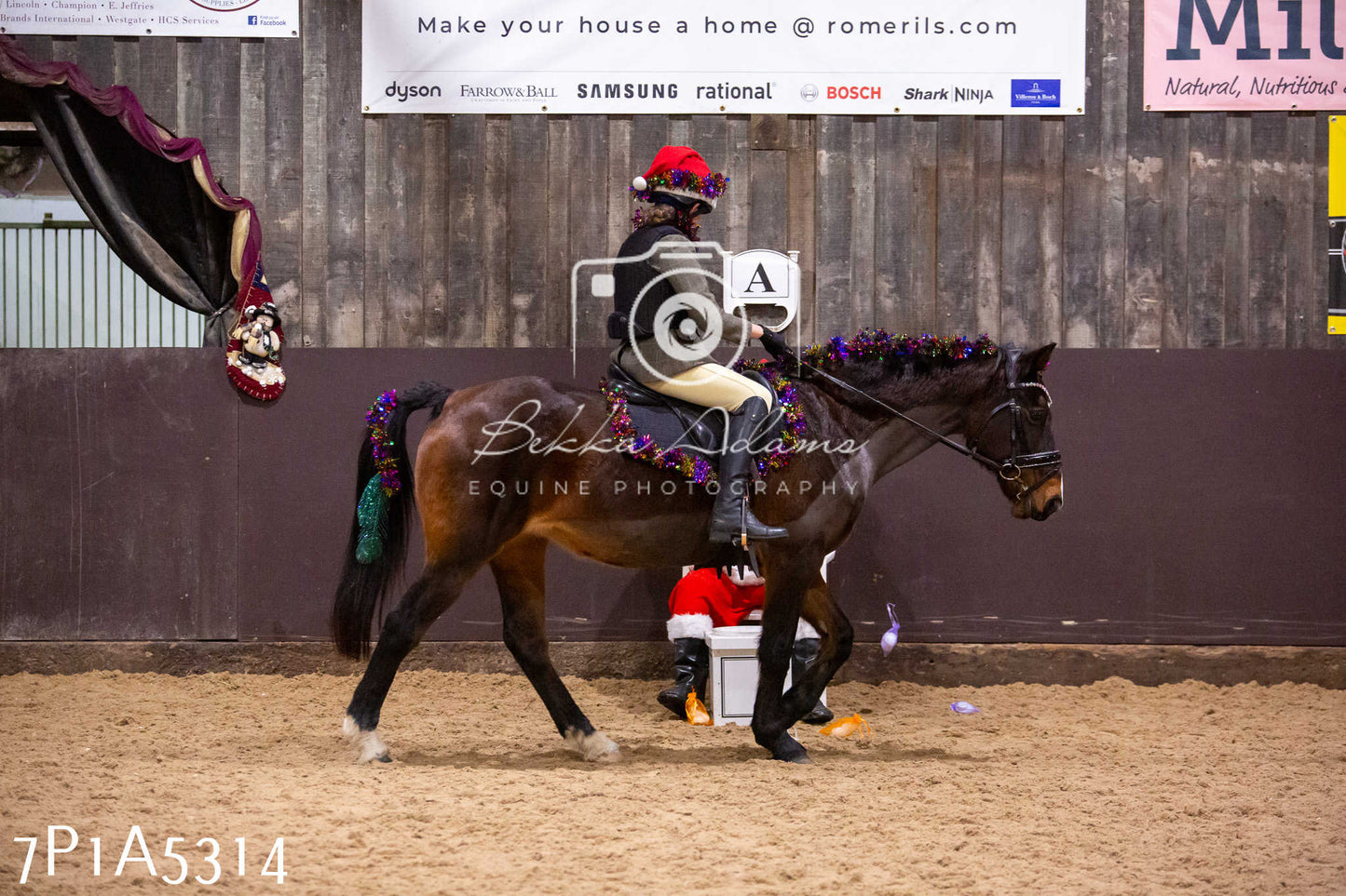 Home Farm Christmas Show 2024 - Ridden (Fun Classes)