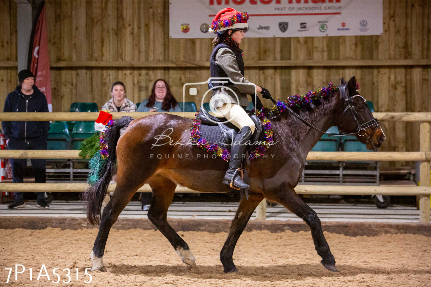 Home Farm Christmas Show 2024 - Ridden (Fun Classes)