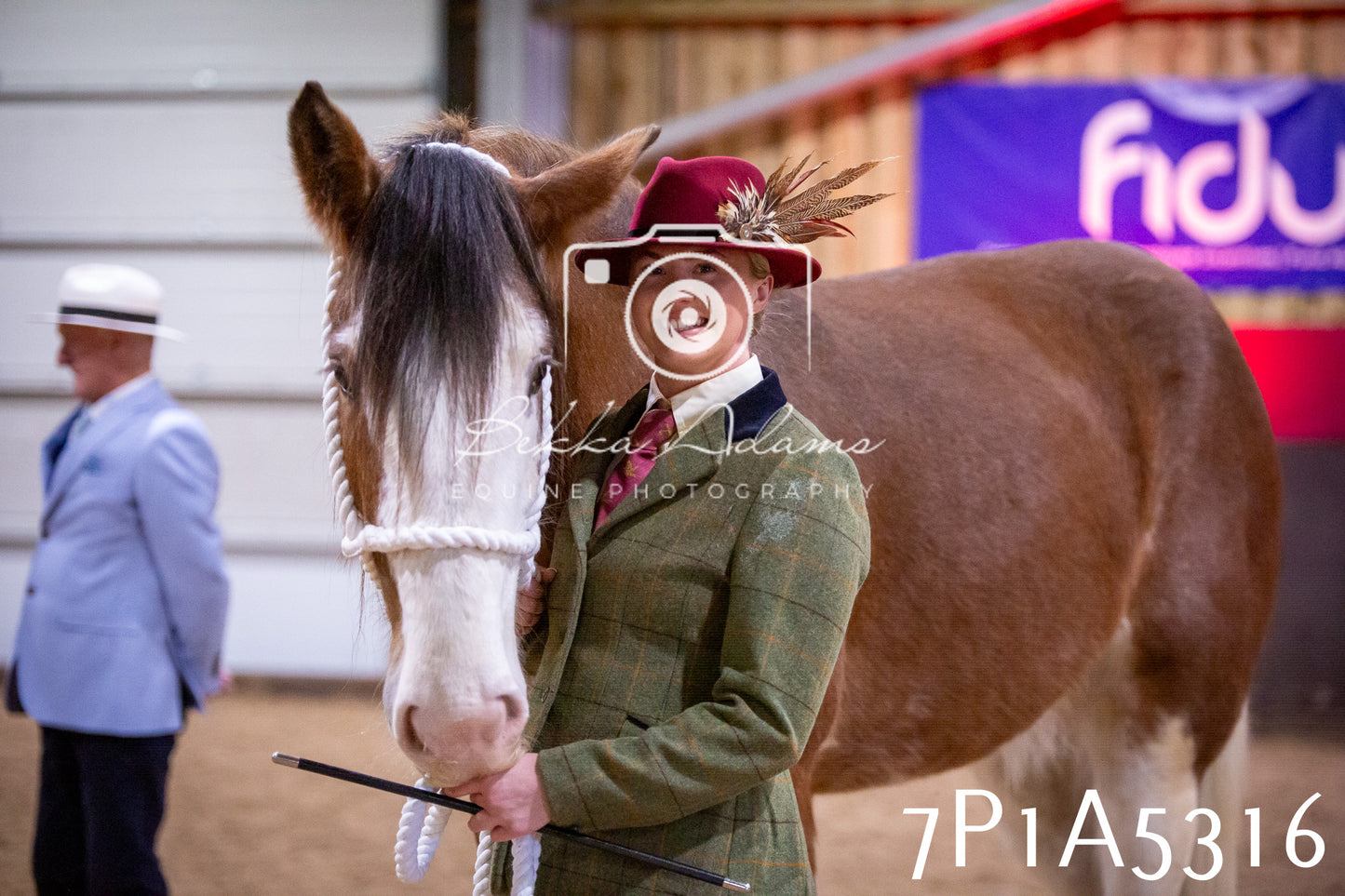 Home Farm Spring Show 2026 - In Hand