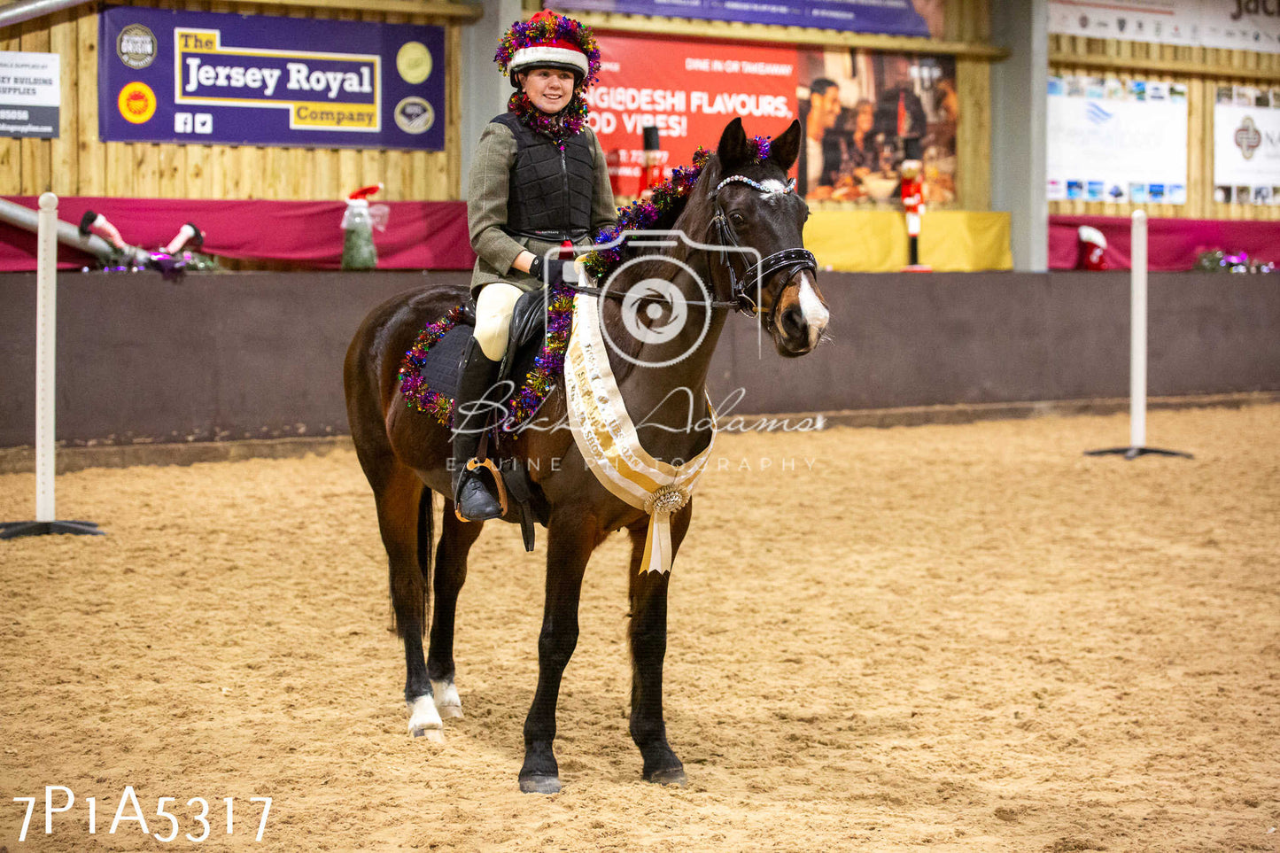 Home Farm Christmas Show 2024 - Ridden (Fun Classes)