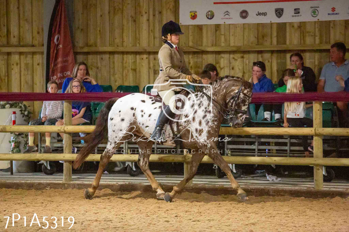 JHOYS 2023 - 10th September - Ridden Showing Pt2