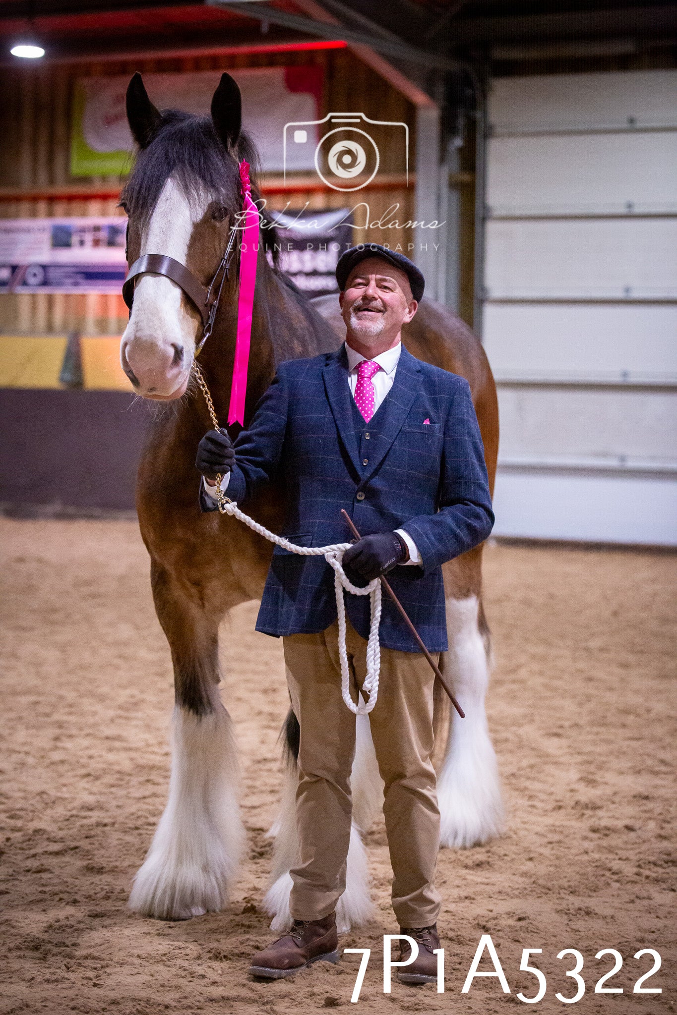 Home Farm Spring Show 2026 - In Hand