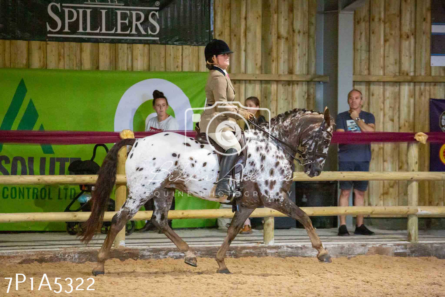 JHOYS 2023 - 10th September - Ridden Showing Pt2