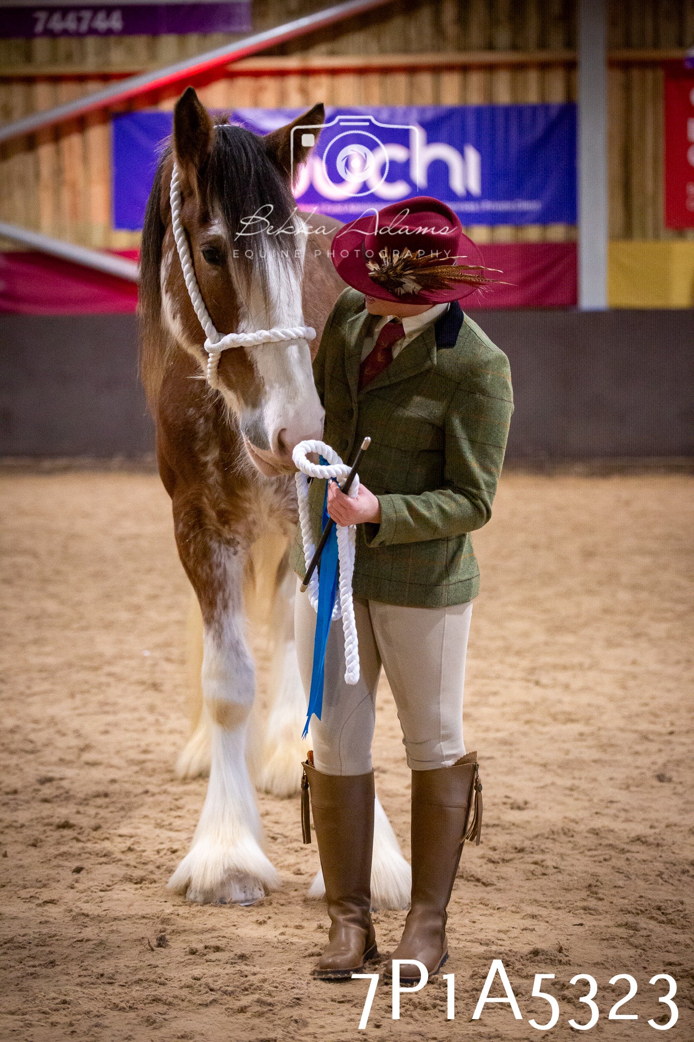 Home Farm Spring Show 2026 - In Hand