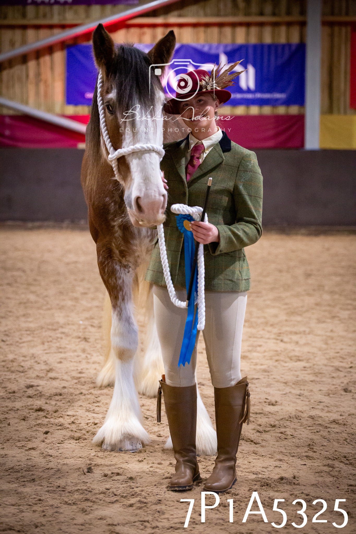 Home Farm Spring Show 2026 - In Hand