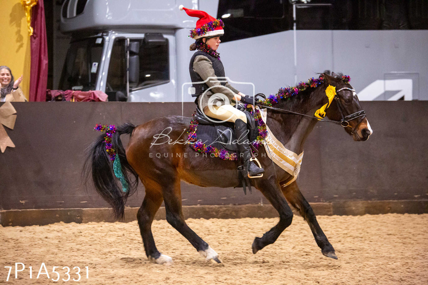 Home Farm Christmas Show 2024 - Ridden (Fun Classes)