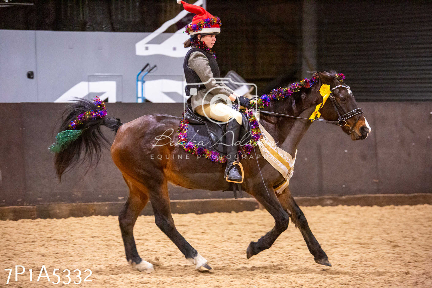 Home Farm Christmas Show 2024 - Ridden (Fun Classes)