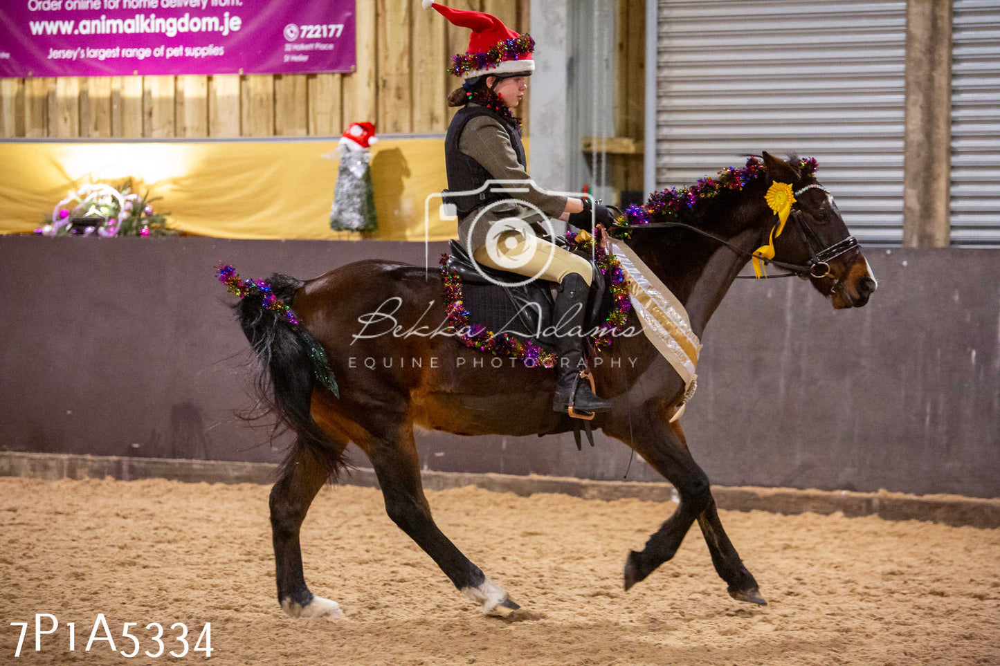 Home Farm Christmas Show 2024 - Ridden (Fun Classes)