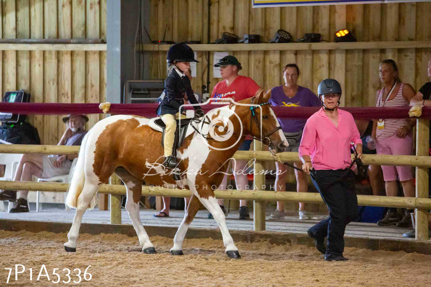 JHOYS 2023 - 10th September - Ridden Showing Pt2