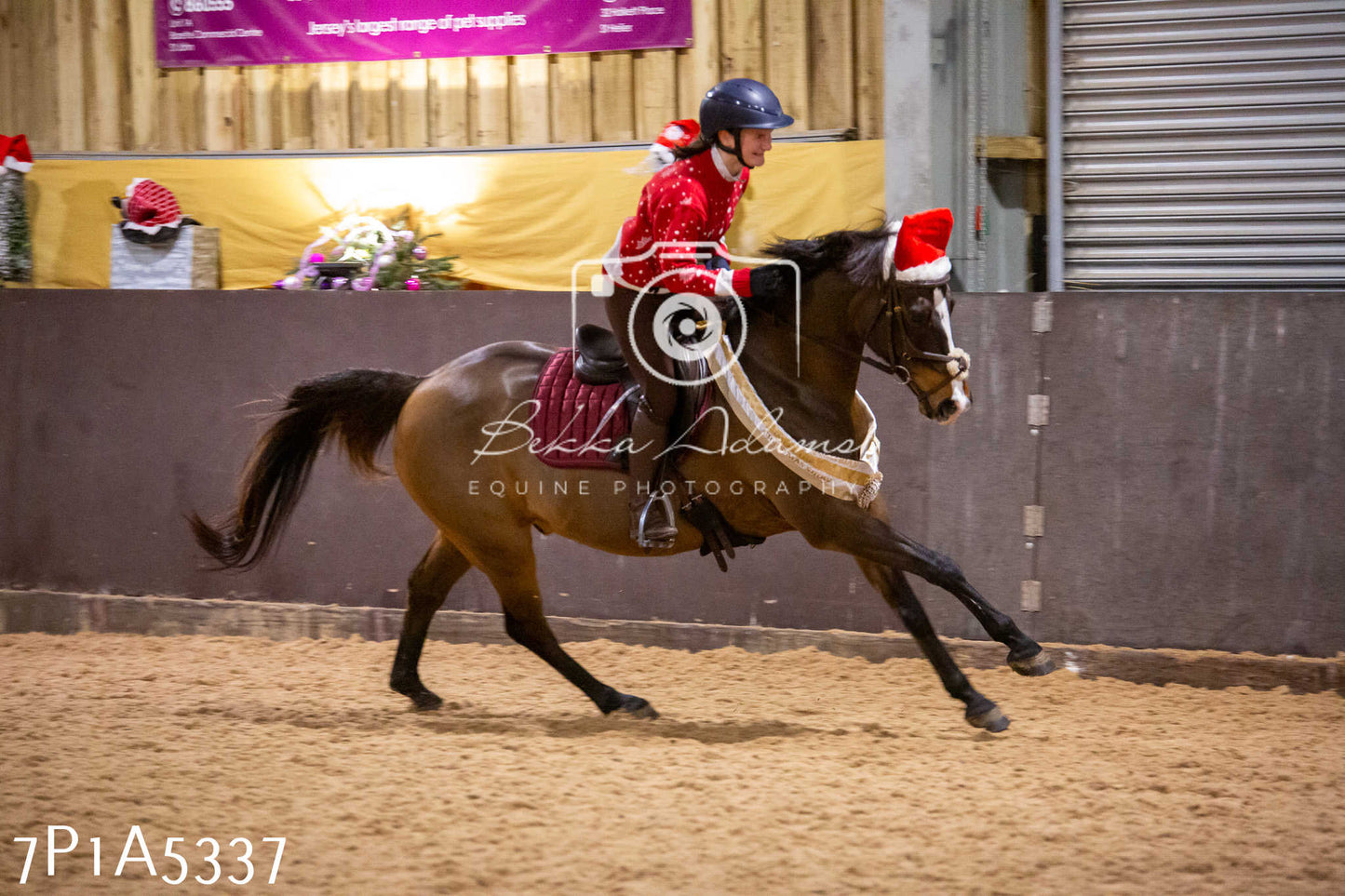 Home Farm Christmas Show 2024 - Ridden (Fun Classes)