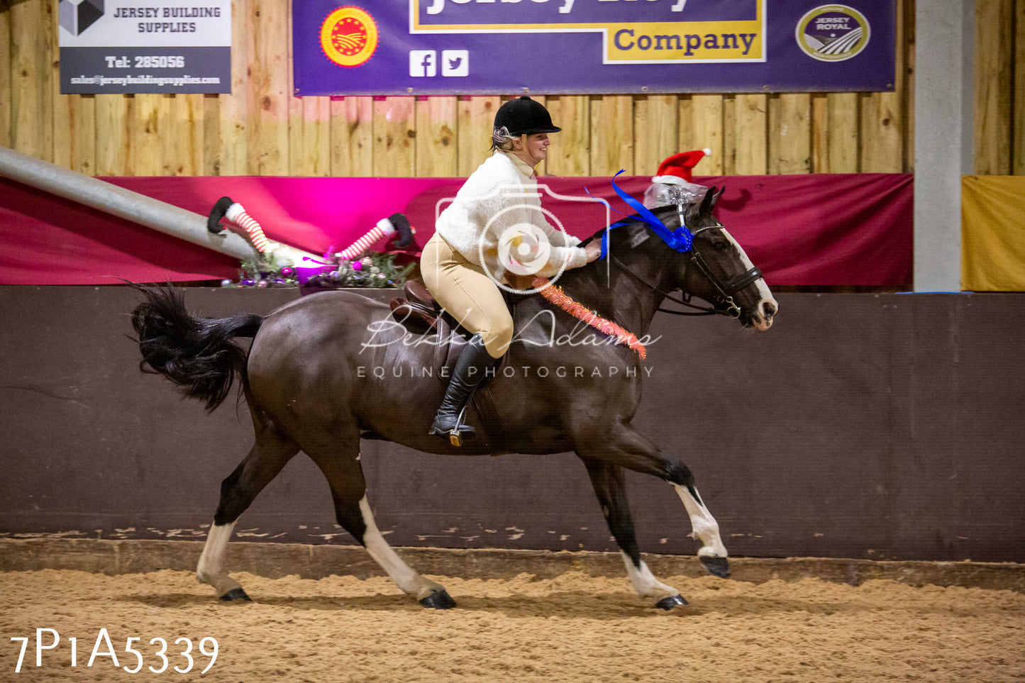 Home Farm Christmas Show 2024 - Ridden (Fun Classes)