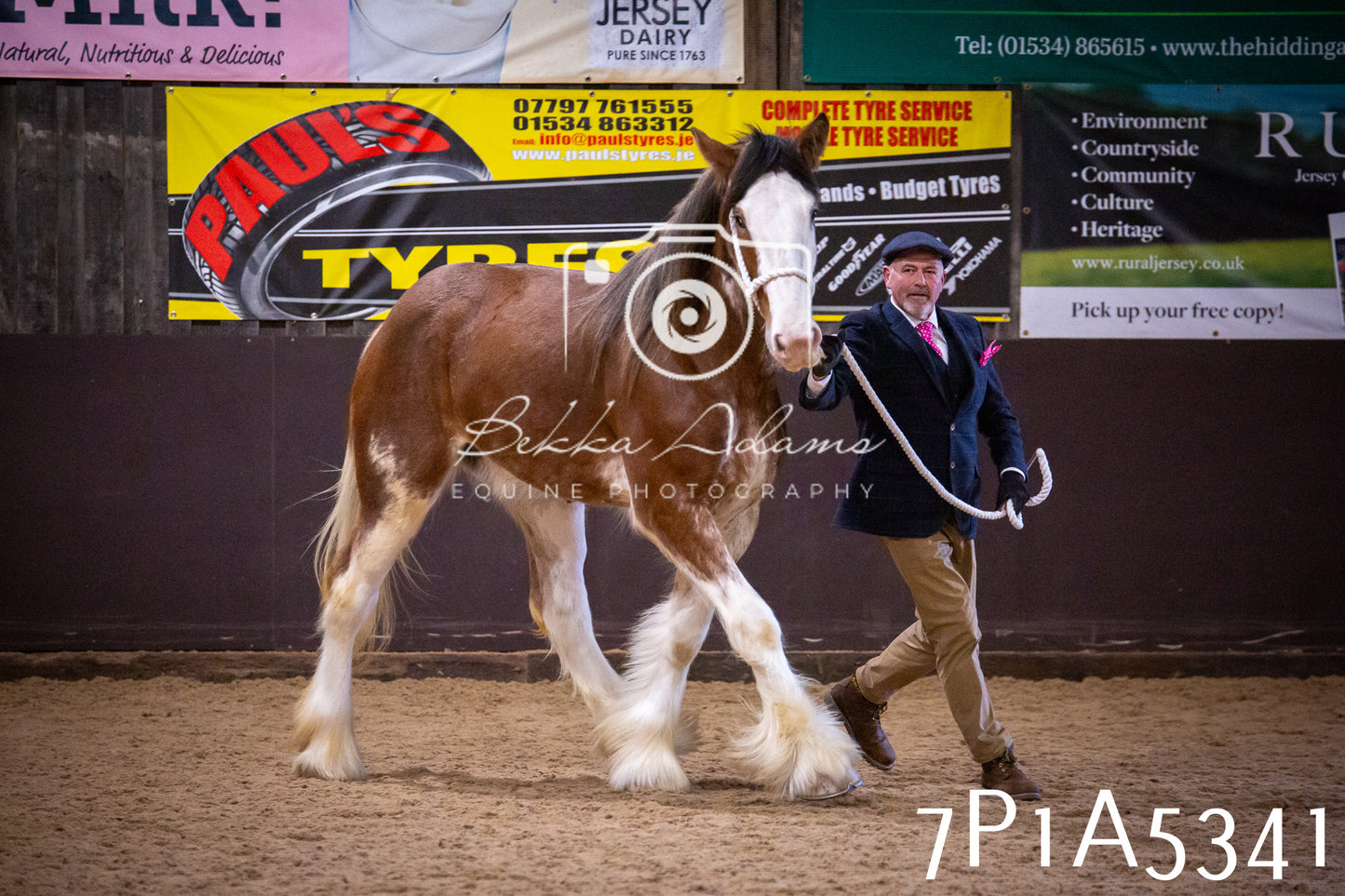 Home Farm Spring Show 2026 - In Hand