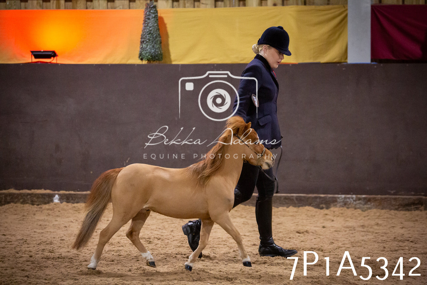 Home Farm Spring Show 2026 - In Hand