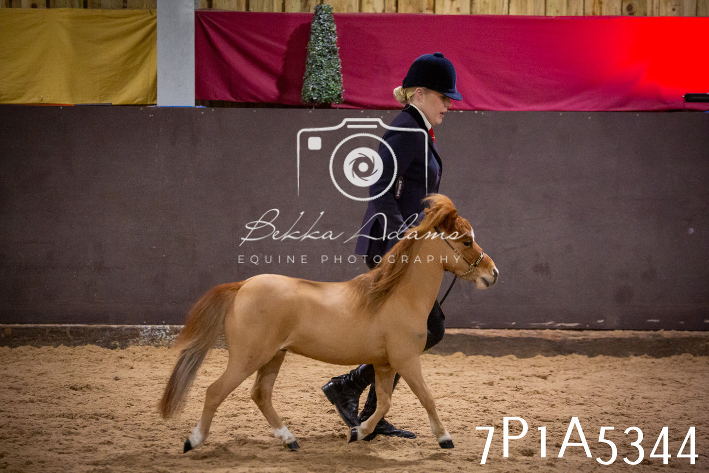 Home Farm Spring Show 2026 - In Hand