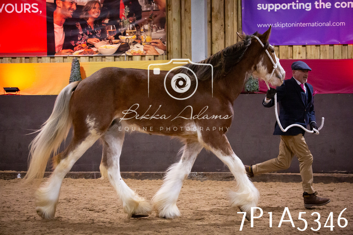 Home Farm Spring Show 2026 - In Hand