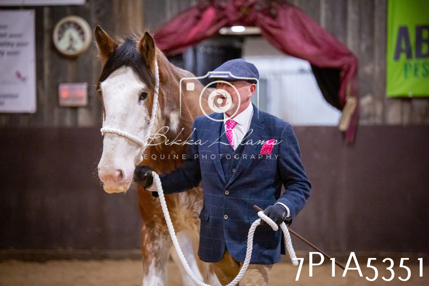 Home Farm Spring Show 2026 - In Hand