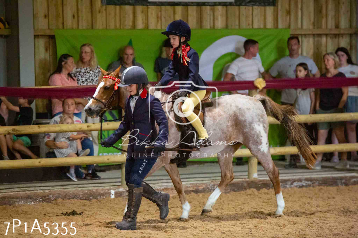 JHOYS 2023 - 10th September - Ridden Showing Pt2