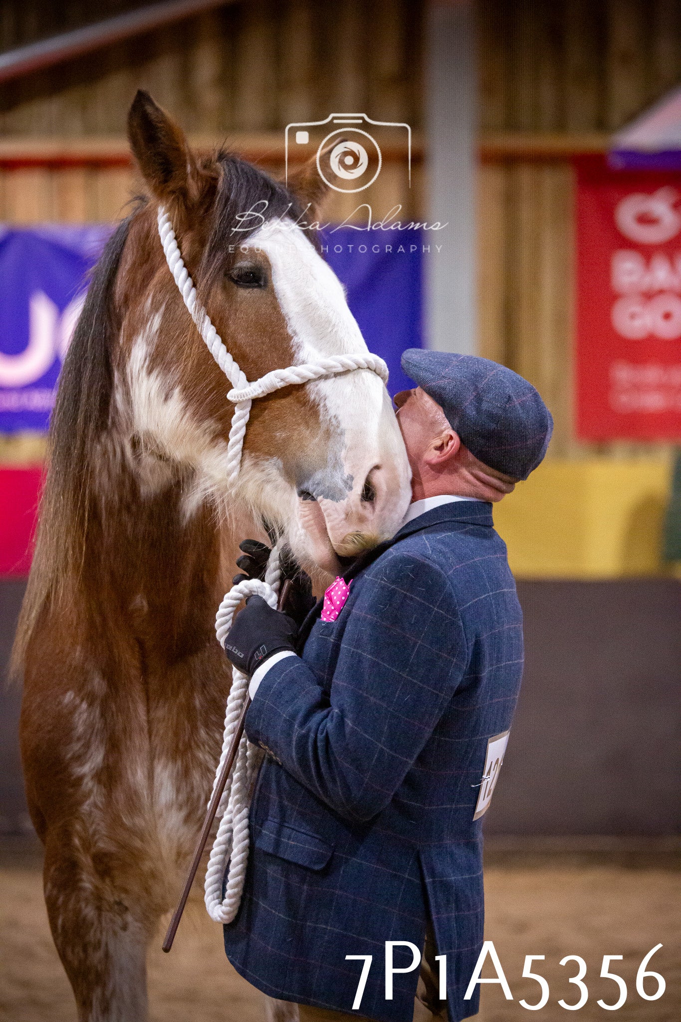 Home Farm Spring Show 2026 - In Hand