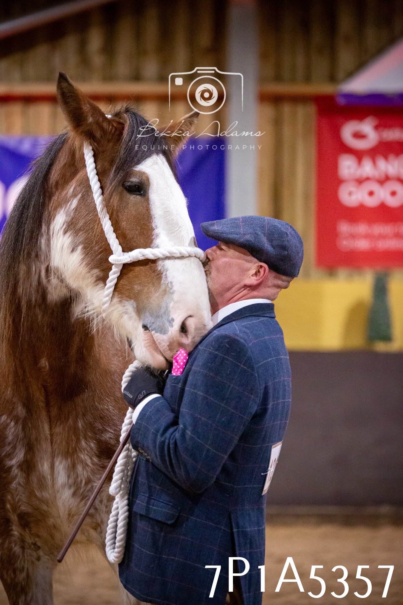 Home Farm Spring Show 2026 - In Hand