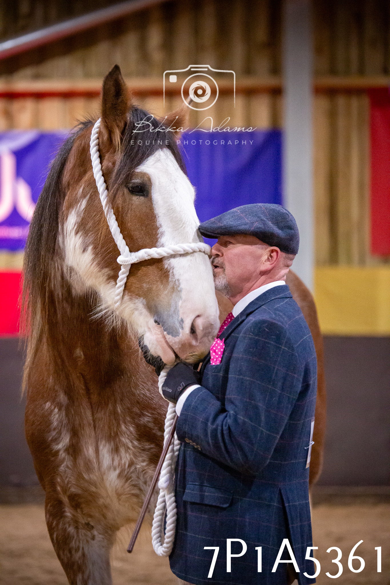 Home Farm Spring Show 2026 - In Hand