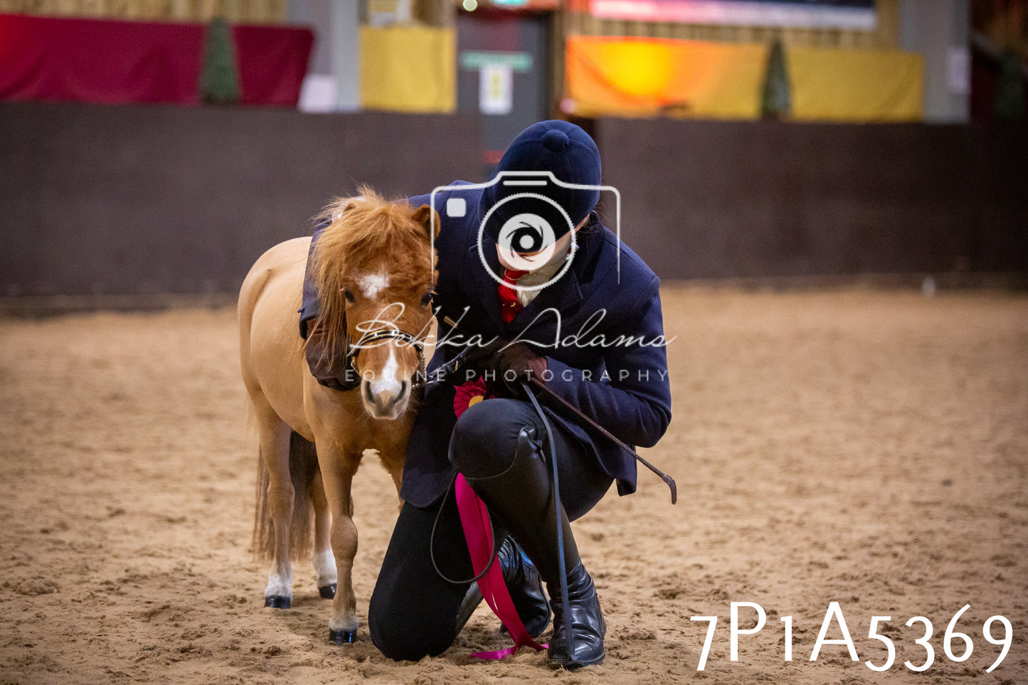 Home Farm Spring Show 2026 - In Hand